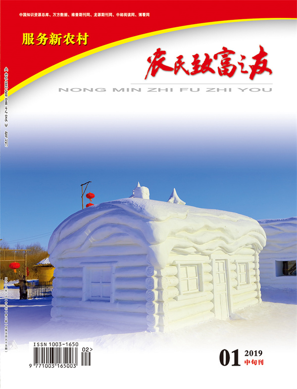 2019年1月中旬刊