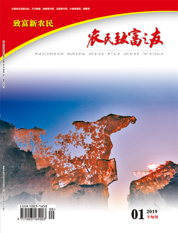 2019年1月下旬刊