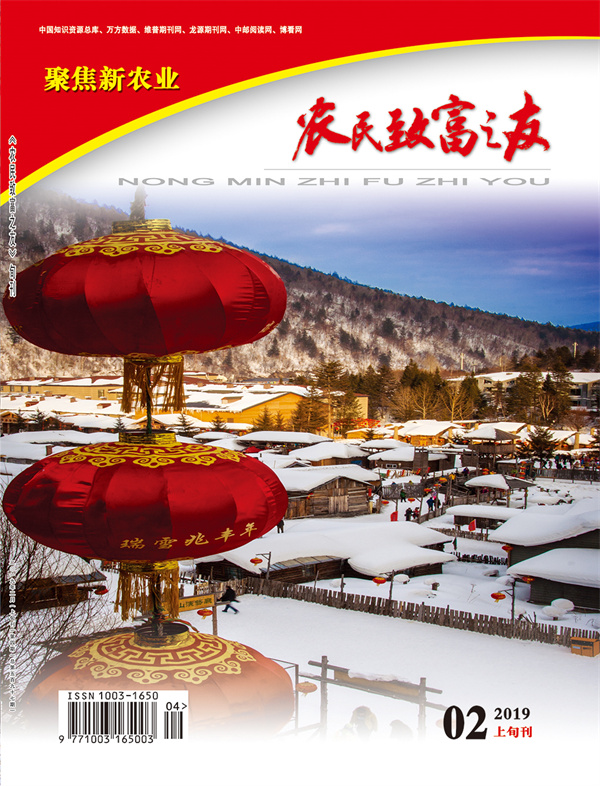 2019年2月上旬刊
