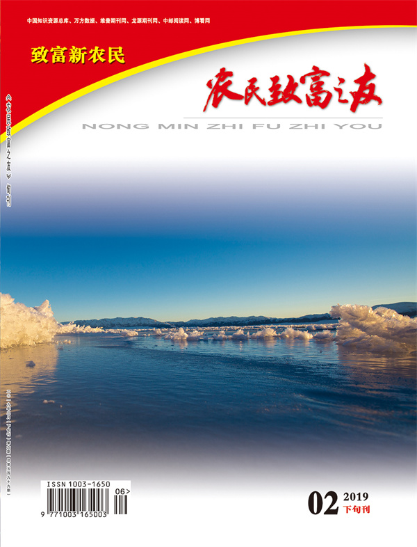 2019年2月下旬刊