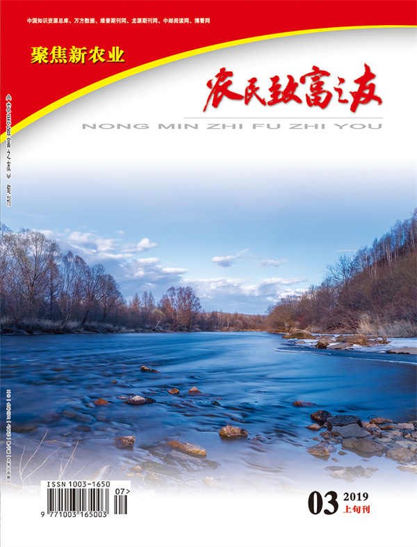2019年3月上旬刊