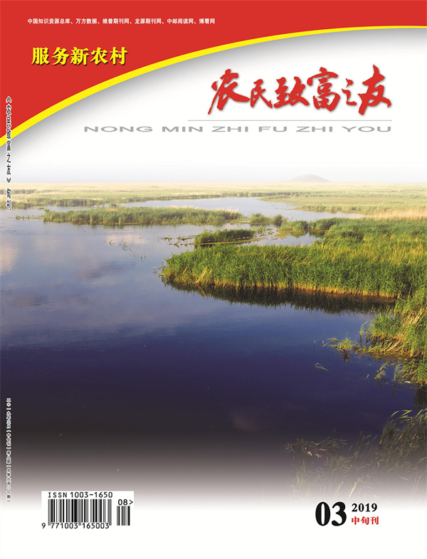 2019年3月中旬刊