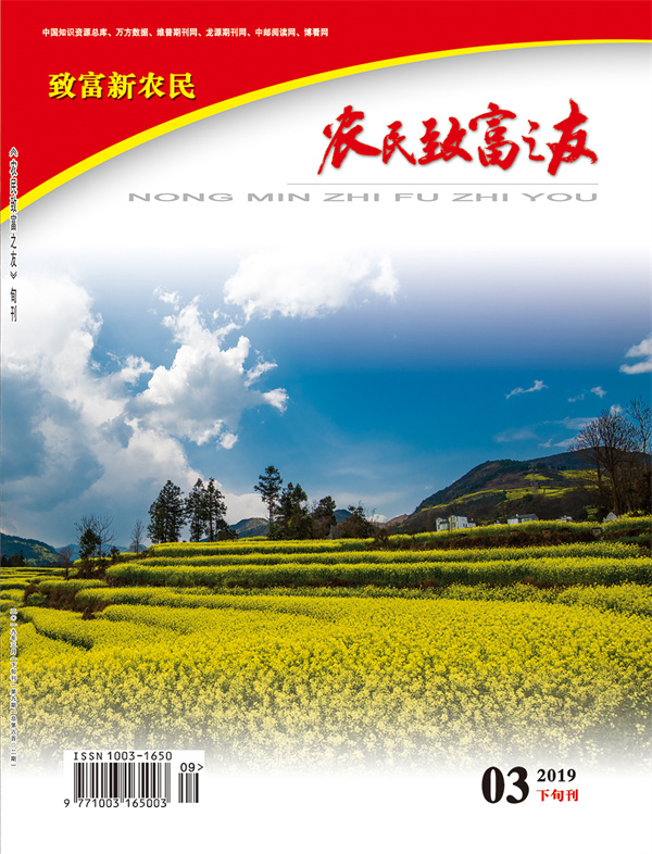 2019年3月下旬刊