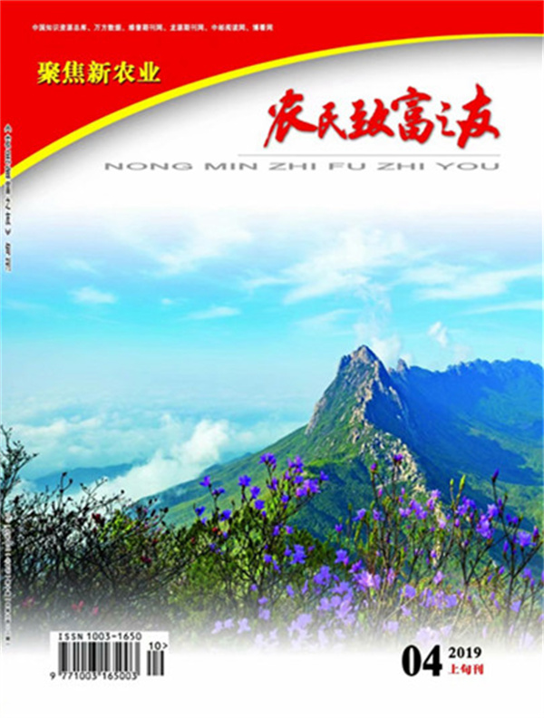 2019年4月上旬刊