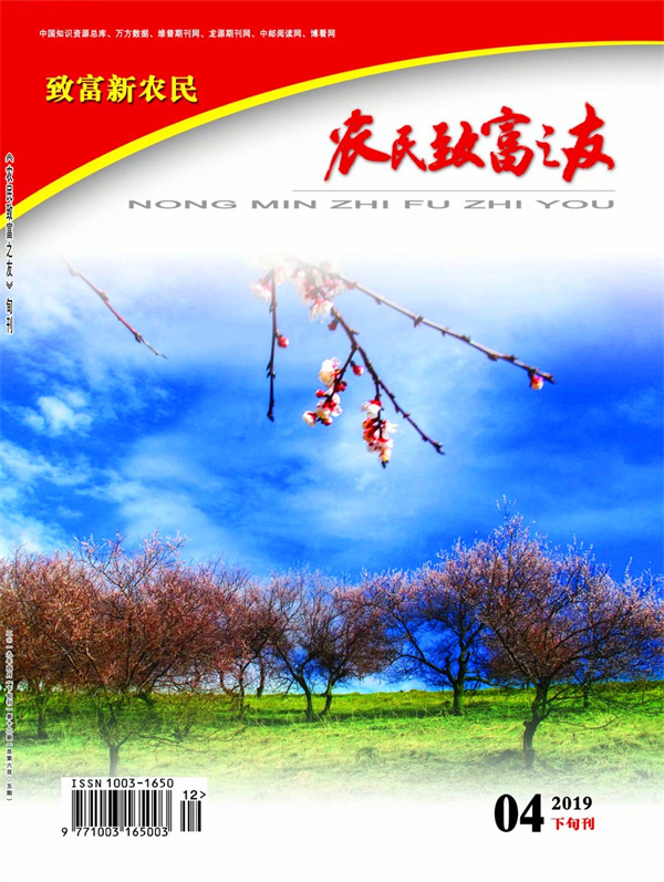2019年4月下旬刊