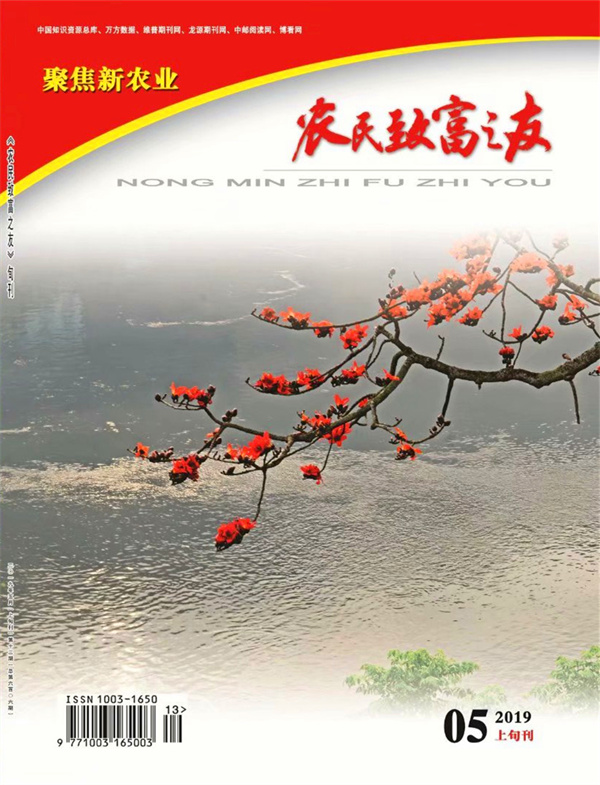 2019年5月上旬刊