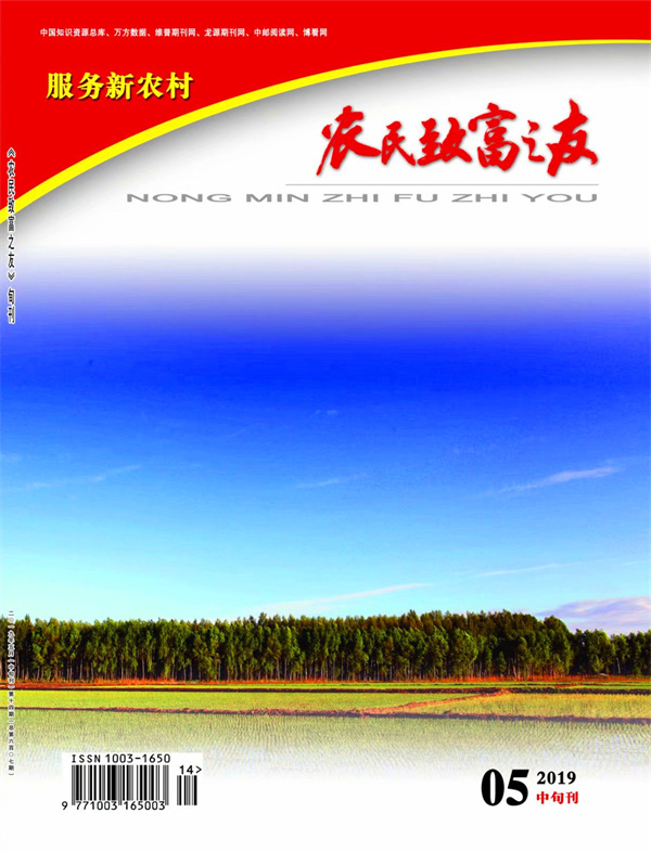 2019年5月中旬刊