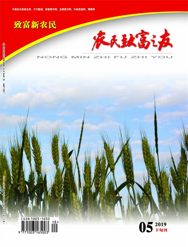 2019年5月下旬刊