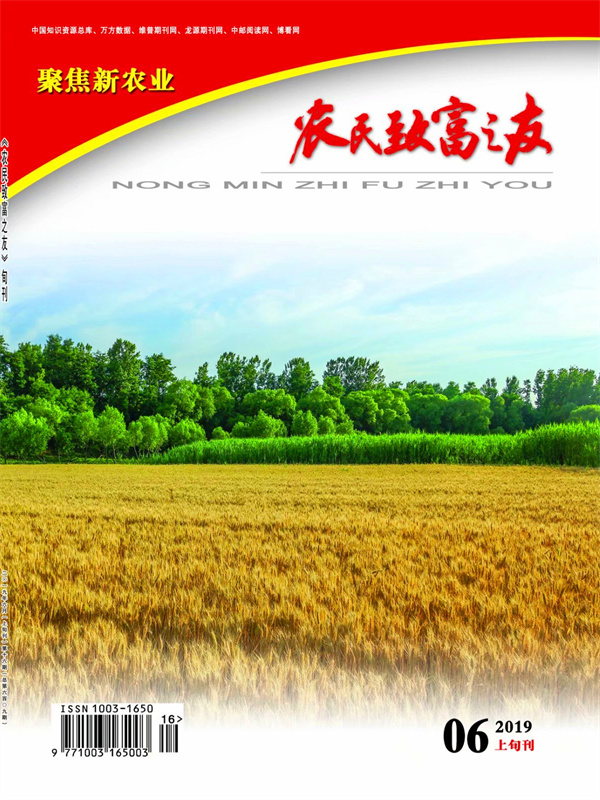 2019年6月上旬刊