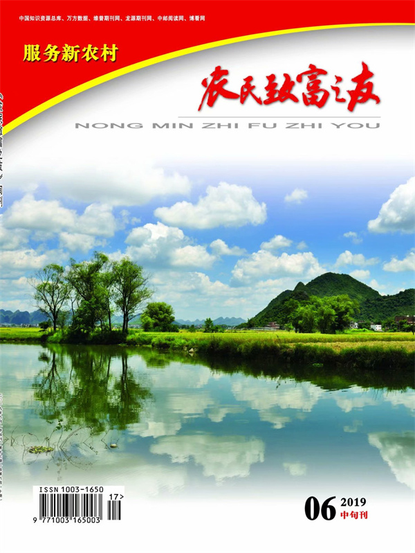 2019年6月中旬刊
