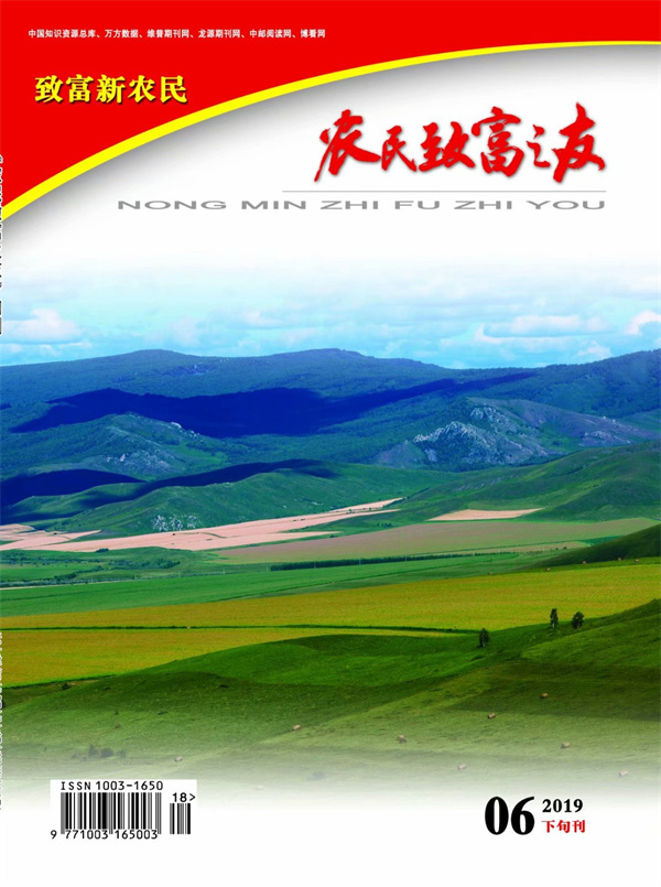 2019年6月下旬刊