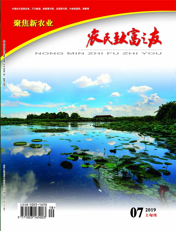 2019年7月上旬刊