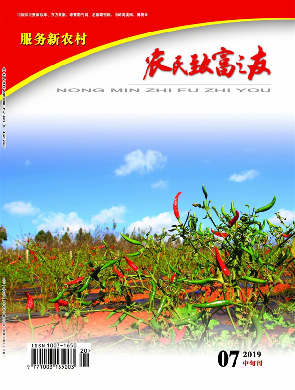 2019年7月中旬刊