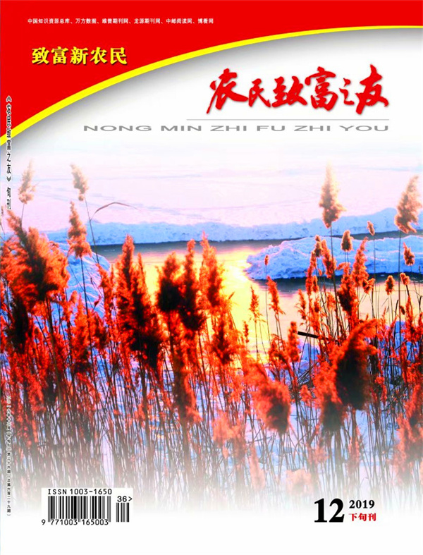 2019年12月下旬刊