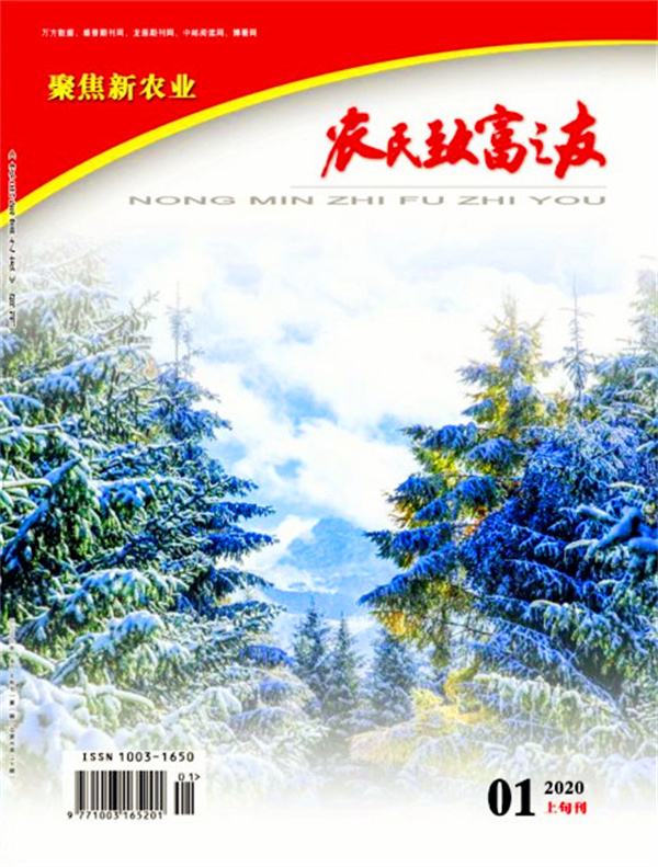 2020年1月上旬刊