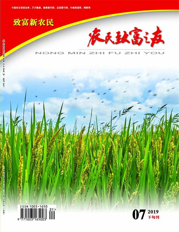 2019年7月下旬刊