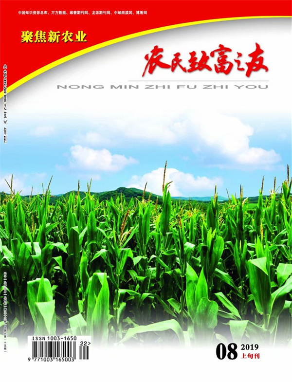 2019年8月上旬刊