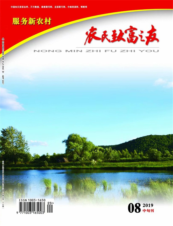 2019年8月中旬刊