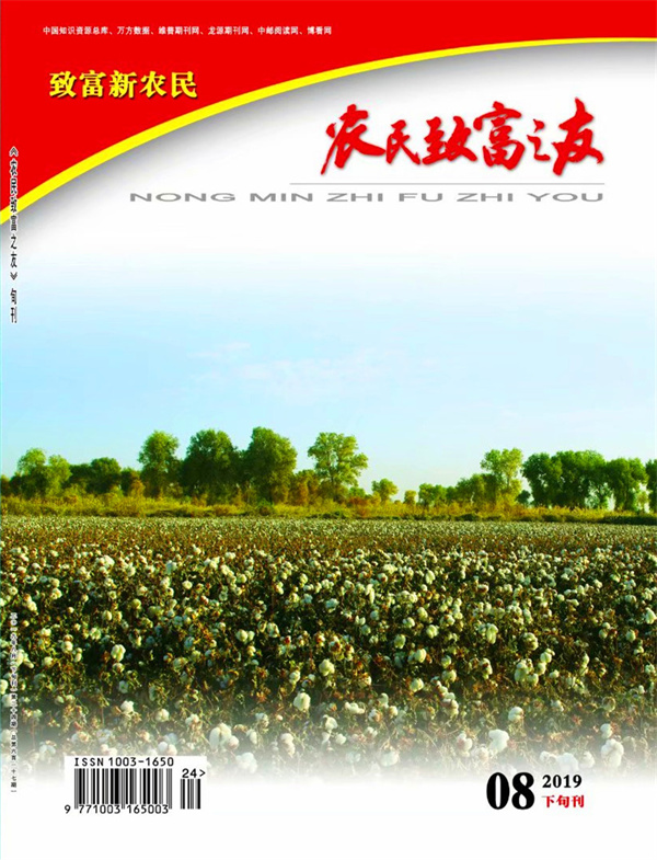 2019年8月下旬刊