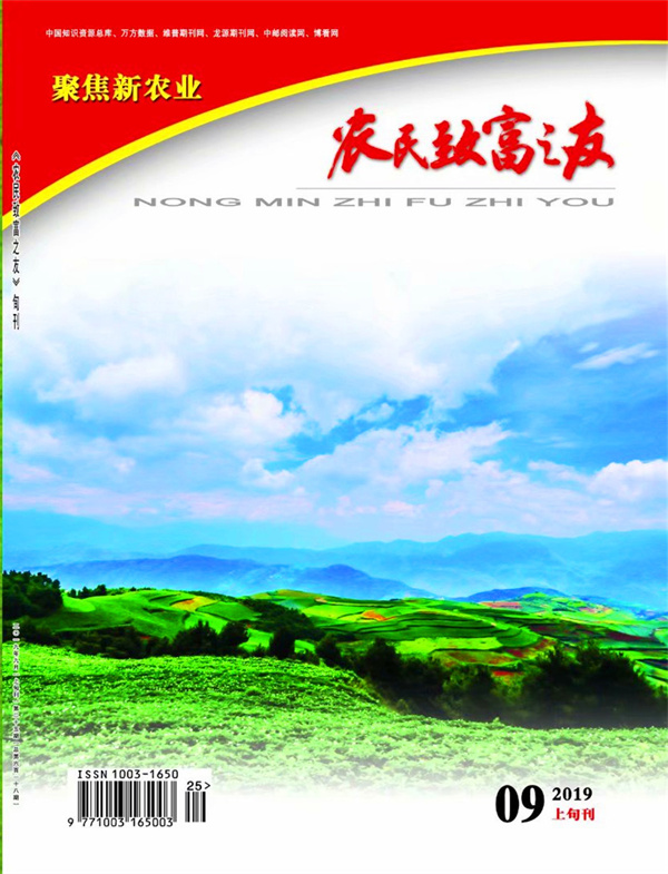 2019年9月上旬刊