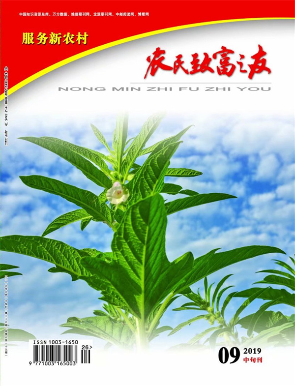 2019年9月中旬刊