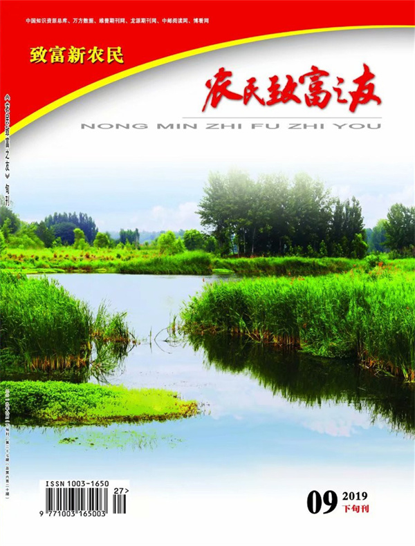 2019年9月下旬刊