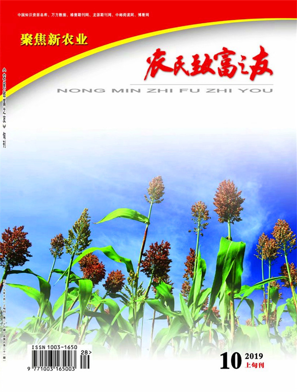 2019年10月上旬刊
