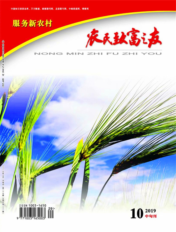 2019年10月中旬刊