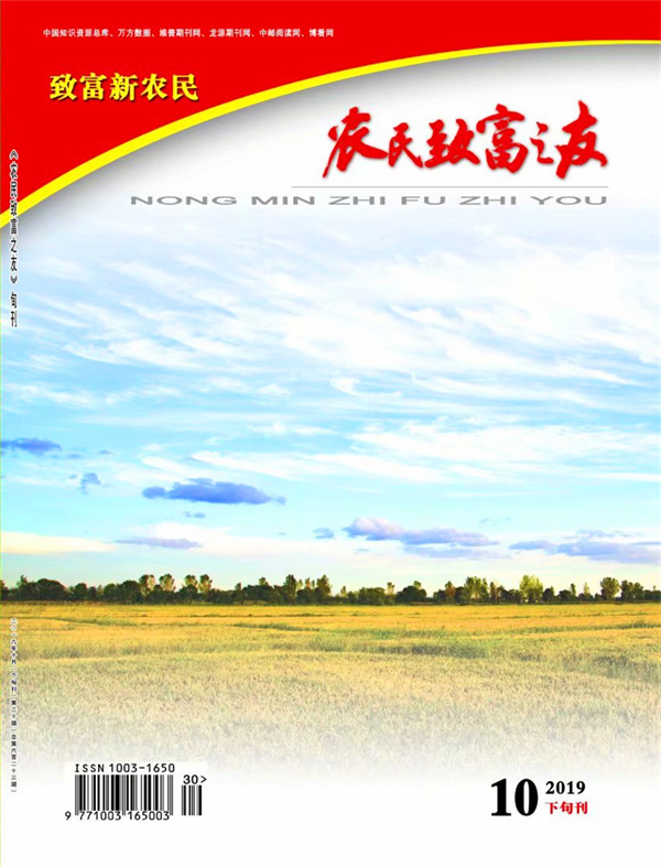2019年10月下旬刊