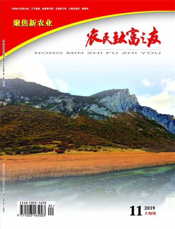 2019年11月上旬刊