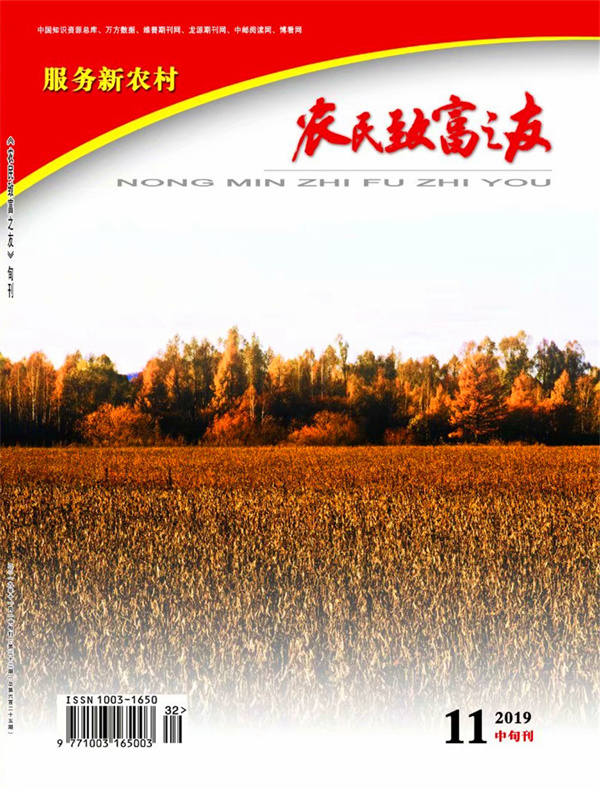2019年11月中旬刊