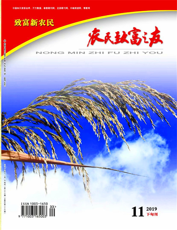 2019年11月下旬刊