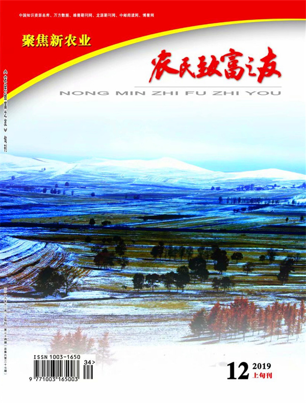 2019年12月上旬刊