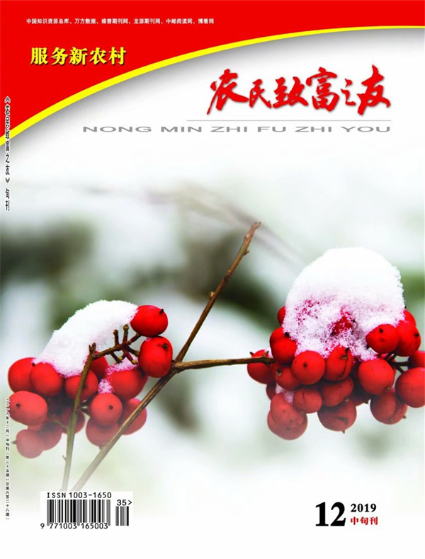 2019年12月中旬刊