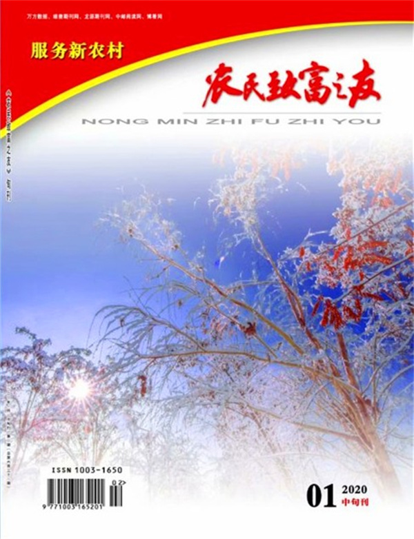 2020年1月中旬刊