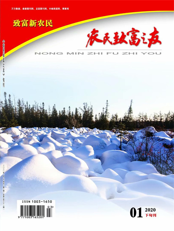 2020年1月下旬刊