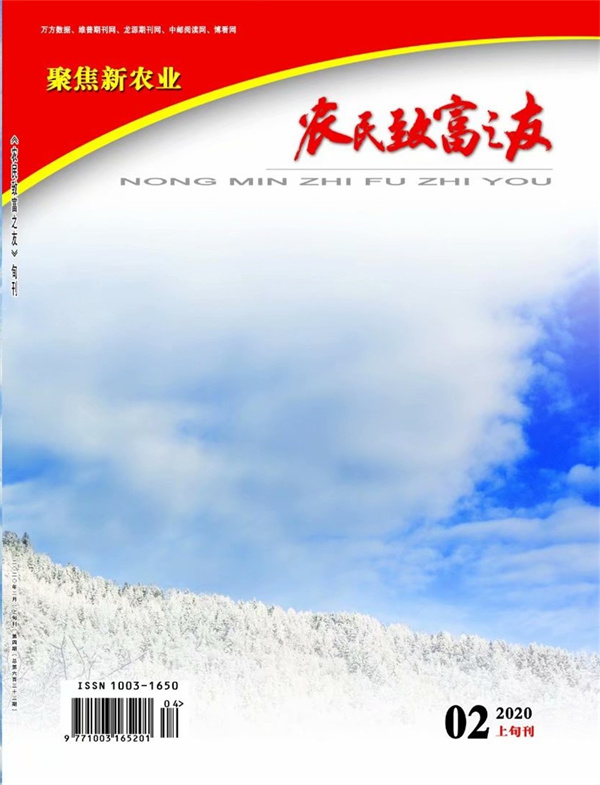 2020年2月上旬刊