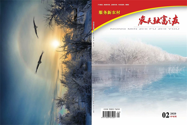 2020年2月中旬刊