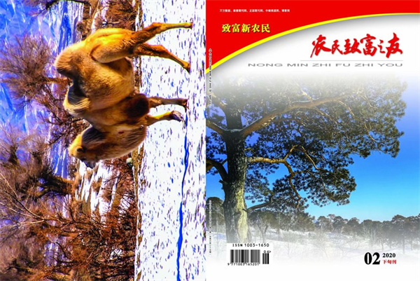 2020年2月下旬刊