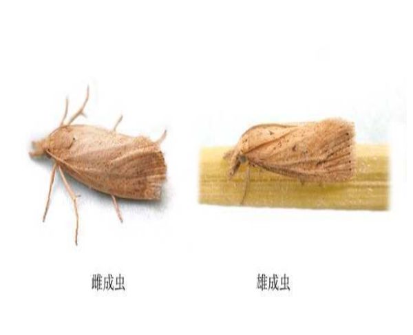 u=1005914156