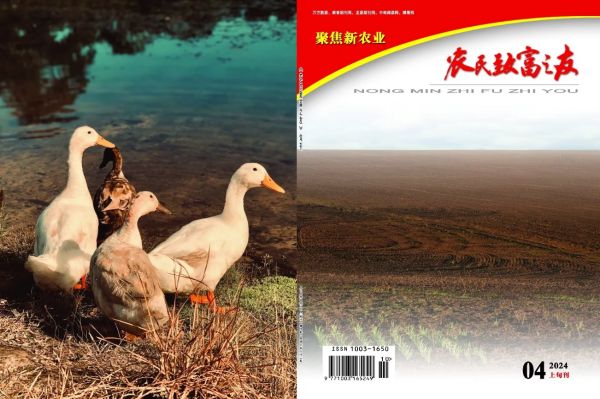 2024年4月上旬刊.jpg