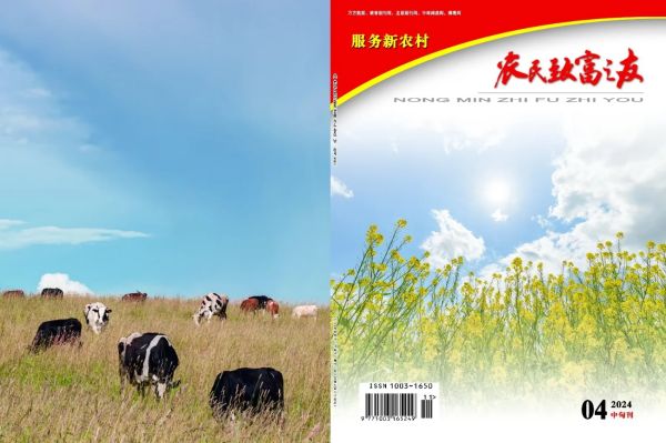 2024年4月中旬刊.jpg