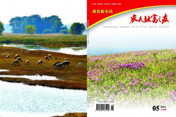 2024年5月下旬刊(1).jpg