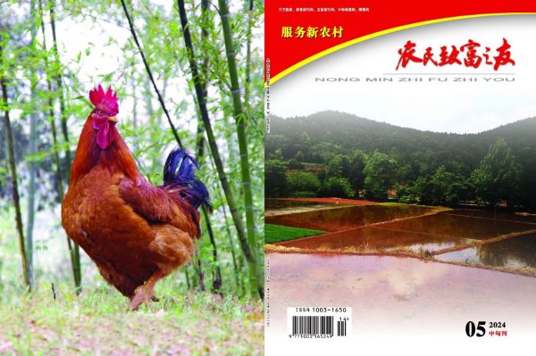 2024年5月中旬刊.jpg