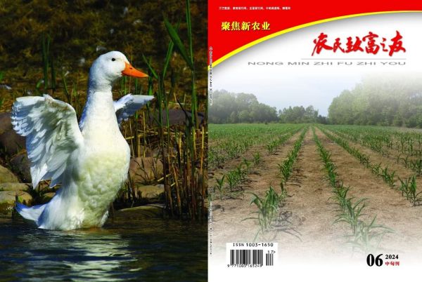 6月中旬刊.jpg