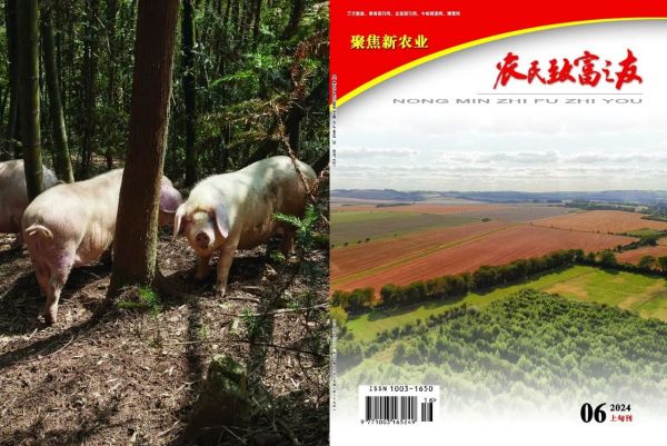 6月上旬刊.jpg