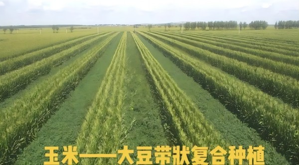 screenshot(1).jpg