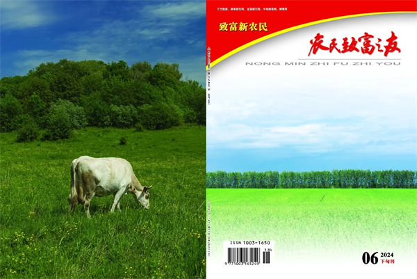 2024.06下旬刊.jpg