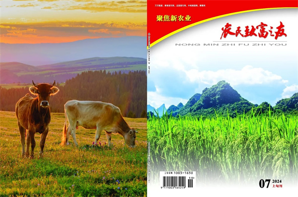 2024.07上旬刊.jpg