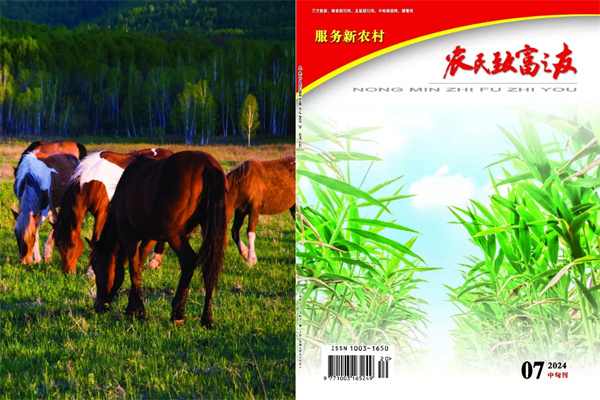 2024年07中旬刊.jpg